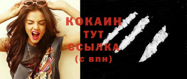 твердый Михайловка
