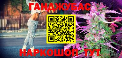 бошки Гагарин