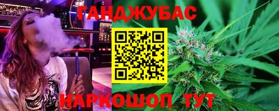 тгк Кингисепп