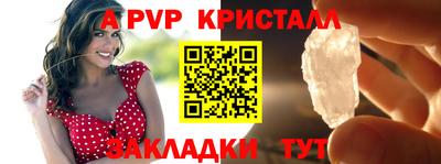 бошки Гагарин