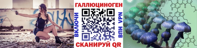 omg маркетплейс  Кимовск  Псилоцибиновые грибы Psilocybine cubensis 