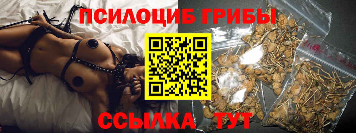 Галлюциногенные грибы Magic Shrooms  Вход с VPN  Кимовск 
