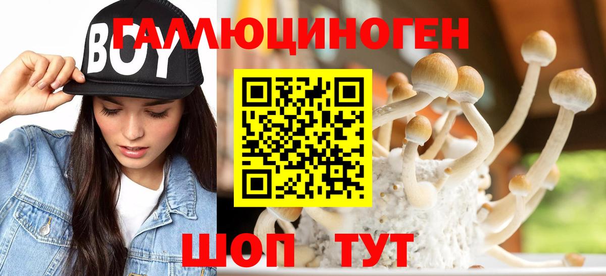 Галлюциногенные грибы GOLDEN TEACHER Кимовск